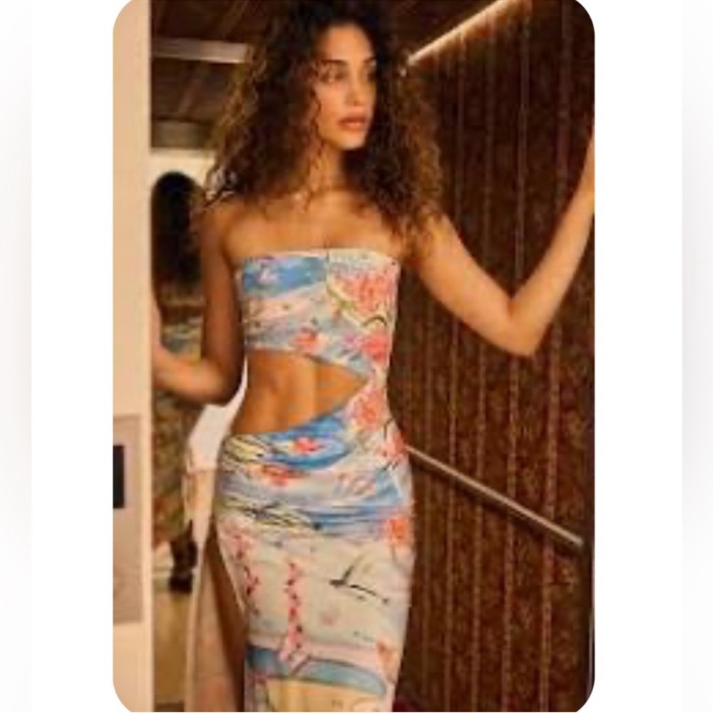 NWT AGUA BENDITA Gwen Nacar Dress